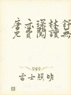 唐亦琛林舒小说免费阅读无弹窗