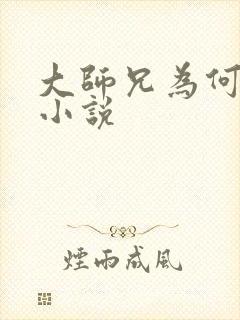 大师兄为何这样小说