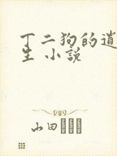 丁二狗的逍遥人生 小说