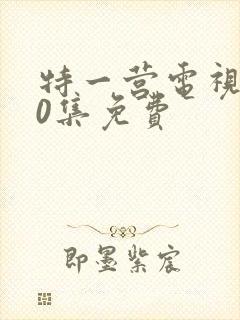 特一营电视剧40集免费