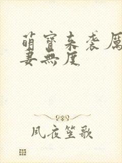 萌宝来袭厉总宠妻无度