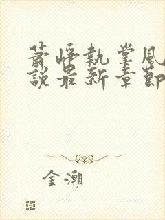 萧峥执掌风云小说最新章节