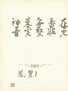 神墓年番在线观看完整版免费观看