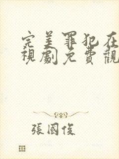 完美罪犯在线电视剧免费观看全集