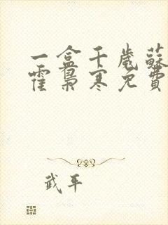 一盒千岁苏婉,霍枭寒免费阅读