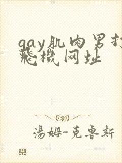 gay肌肉男打飞机网址
