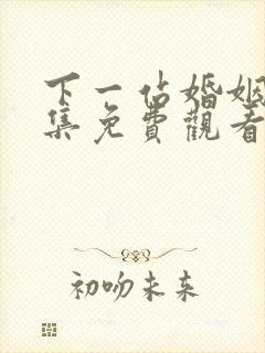 下一站婚姻40集免费观看封面