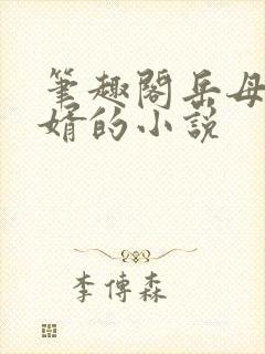 笔趣阁岳母和女婿的小说