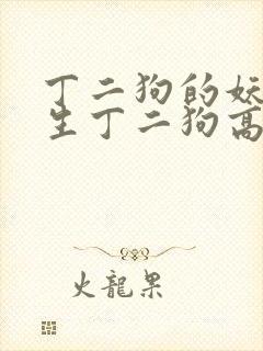 丁二狗的妖孽人生丁二狗高欣雅李丽娇