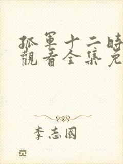 孤军十二时在线观看全集免费播放