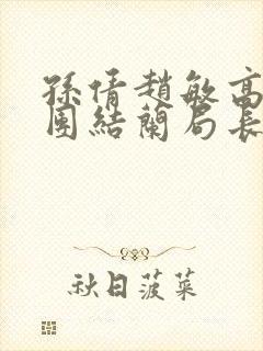 孙倩赵敏高义大团结兰局长