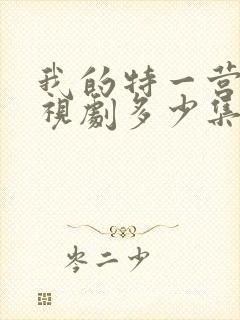 我的特一营 电视剧多少集