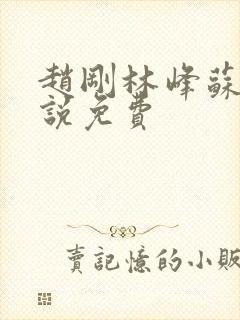 赵刚林峰苏柔小说免费