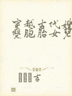 穿越古代嫂嫂送双胞胎女儿的小说免