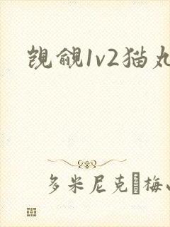 觊觎1v2猫丸