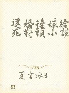 退婚后嫁给渣男死对头小说网