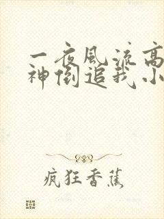 一夜风流高冷女神倒追我小说免费阅读无弹窗