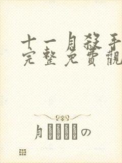 十一月杀手在线完整免费观看