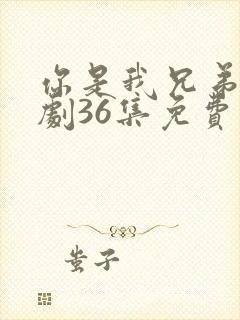 你是我兄弟电视剧36集免费观看