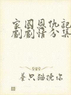 家国恩仇记电视剧剧情分集介绍封面