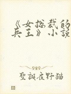 《女总裁的近身兵王》小说