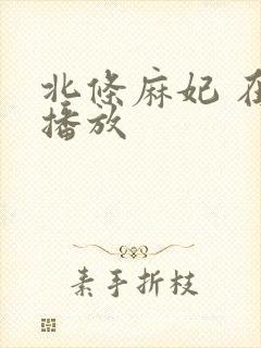 北条麻妃 在线播放