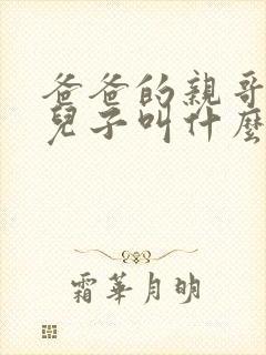 爸爸的亲哥哥的儿子叫什么