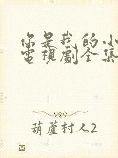 你是我的小确幸电视剧全集免费观看高清