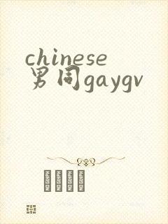 chinese男同gaygv