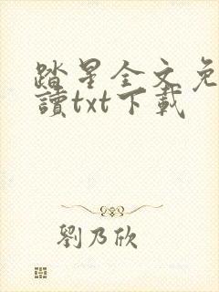 踏星全文免费阅读txt下载封面