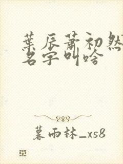 叶辰萧初然小说名字叫啥