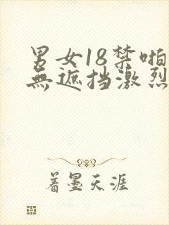 男女18禁啪啪无遮挡激烈