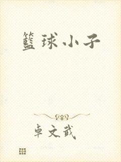 篮球小子