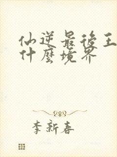 仙逆最后王林到什么境界