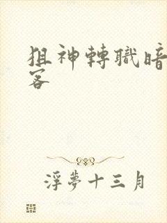 狙神转职暗影刺客