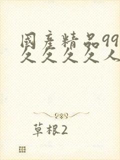 国产精品99久久久久久人四