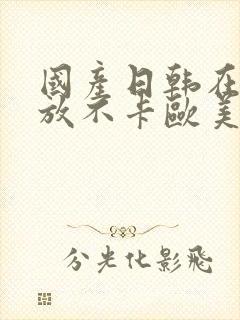 国产日韩在线播放不卡欧美