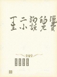 丁二狗的猎艳人生小说免费封面