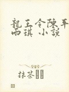 龙王令陈平,苏雨琪 小说