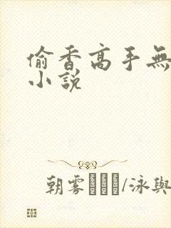 偷香高手无删减小说