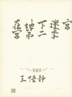 在地下迷宫开后宫第二季