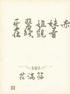 牙医姐妹赤坂丽在线观看封面