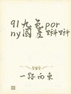 91九色porny国产蝌蚪中文精品