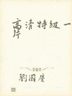 高清特级一级淫片