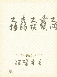 又爽又黄又无遮挡的视频网站