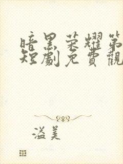 暗黑荣耀第二季短剧免费观看