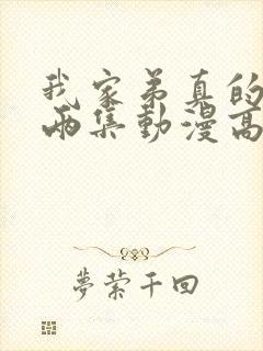 我家弟真的很棒两集动漫高清在线播放