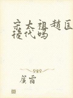 宋太祖赵匡胤有后代吗