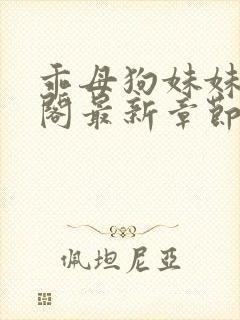 乖母狗妹妹笔趣阁最新章节