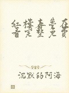 红楼春梦在线观看完整免费高清原声